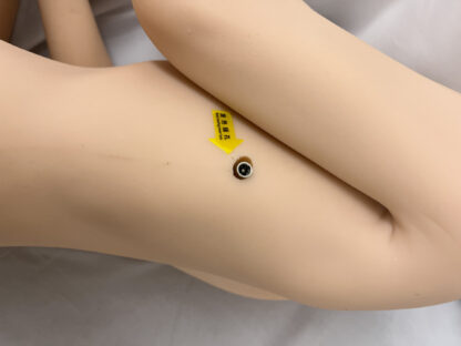 【中古】Funwestdoll TPE製 約152cm Amy #041ヘッド リアルメイク ヒート機能付き DF5069 - 画像 (16)