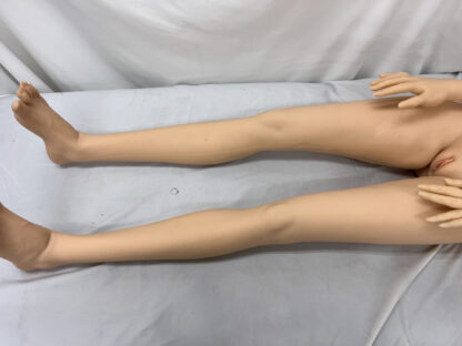 【中古】Sanhuidoll フルシリコン製 約145cm ボディ単品のみ ホール一体型 専用ジョイント DF5124 - 画像 (15)