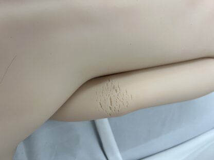 【中古】COSDOLL トルソー　ホール一体型　ゼリー胸　DF5080 - 画像 (10)