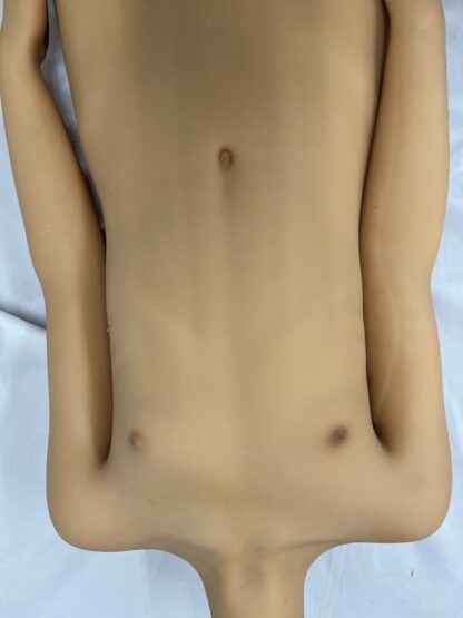 【中古】AXBDOLL TPE製 約136cm Aカップ 小麦肌 EVO骨格 ホール一体型 普通胸 DF5095 - 画像 (8)