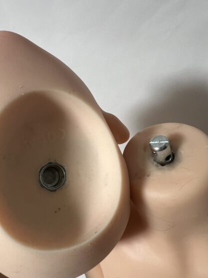 【中古】蛍火日記シリコンヘッドC002　口可動有+Sinodollシリコンボディ　ホール一体型　ゼリー胸　自立加工有　約163cm　DF5189 - 画像 (6)