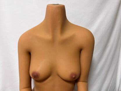 【中古美品】Yearndoll TPE製 約135cm ボディ単品のみ 小麦肌 小胸 ホール脱着式 DF5293 - 画像 (3)