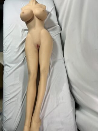 【中古ジャンク】TPEトルソー　ホール一体型　約140cm　DF5379