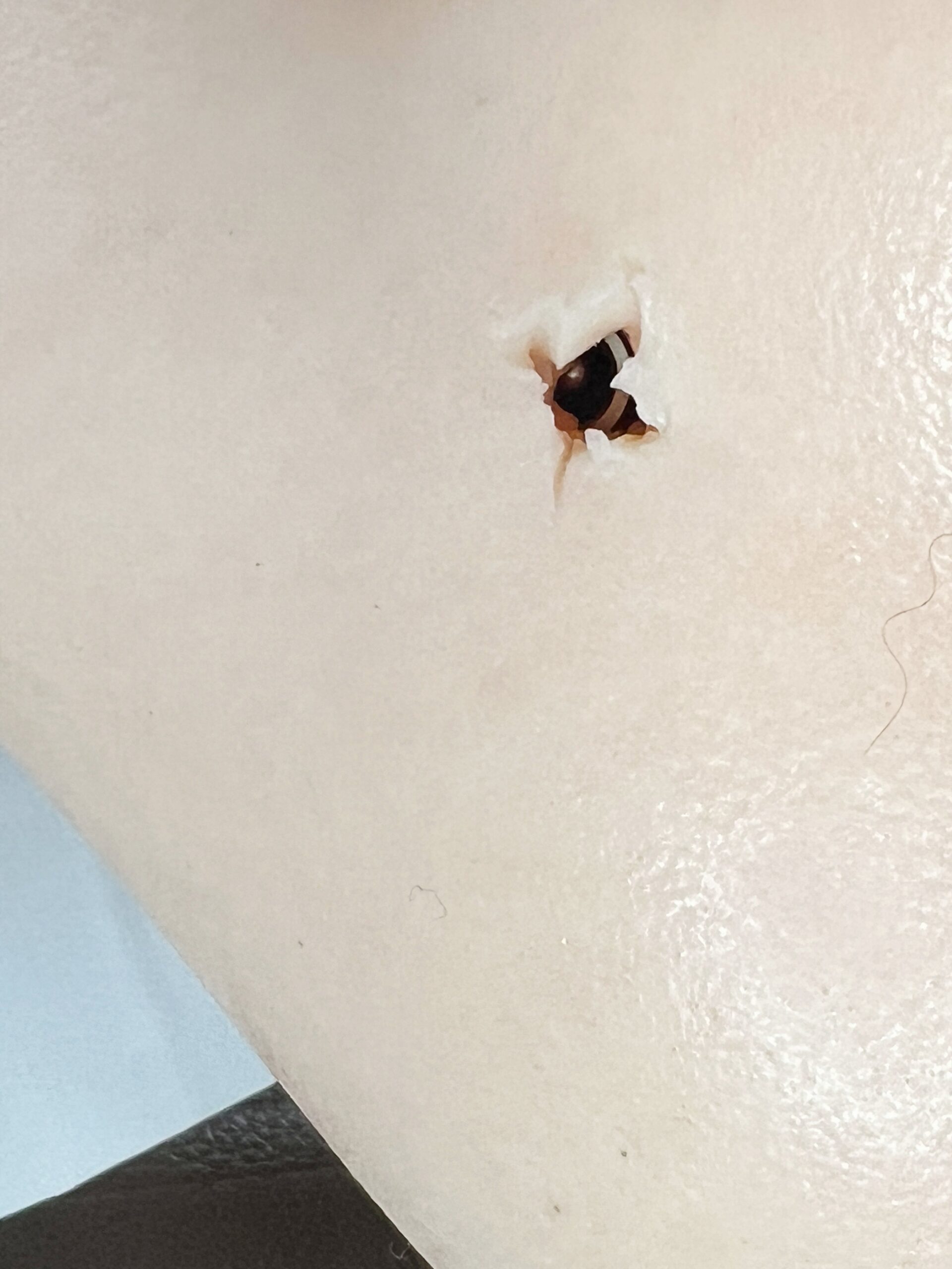 【中古】Irontechdoll #S1硬質シリコンヘッド 指骨格 ホール一体型 ゼリー胸 Hカップ 自立加工有 フルシリコン お尻柔らか 約160cm DF5524 - 画像 (22)