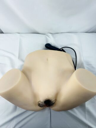 【中古美品】Qitadoll　電動お尻トルソー　動作確認済み　ホール一体型　約33cm　DF5563